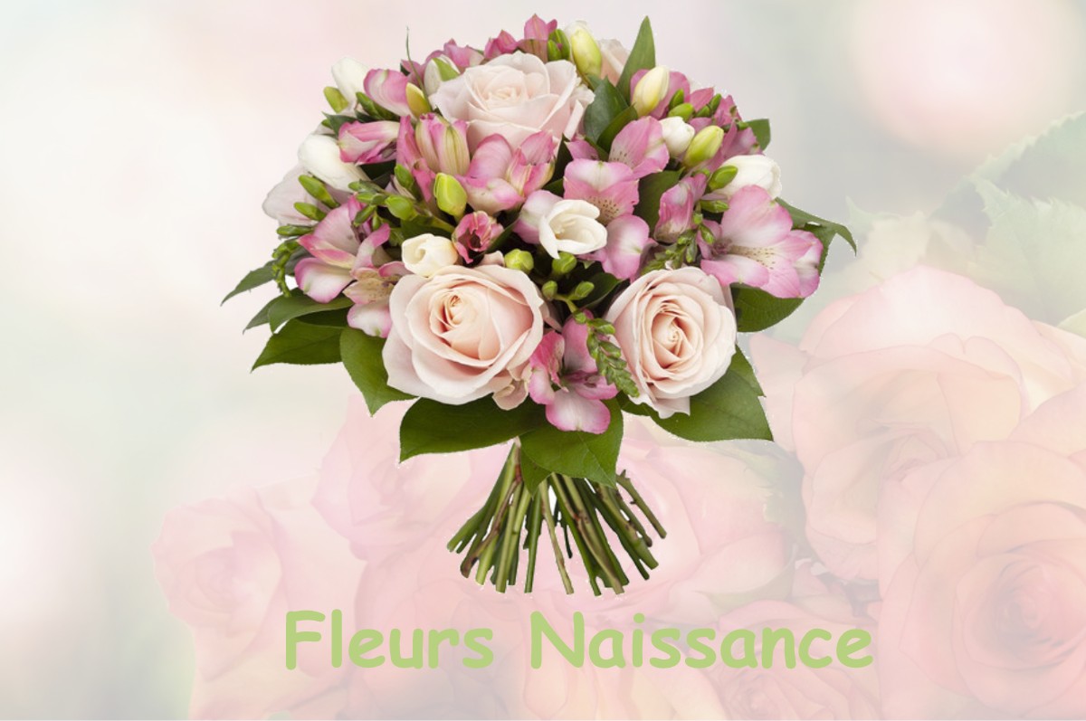 fleurs naissance MEYSSIES