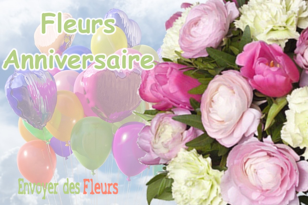 lIVRAISON FLEURS ANNIVERSAIRE à MEYSSIES