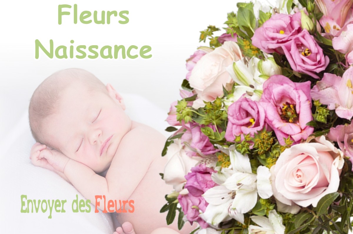 lIVRAISON FLEURS NAISSANCE à MEYSSIES